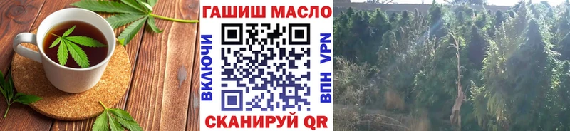 как найти ссылка на мегу Еда ТГК марихуана Мирный