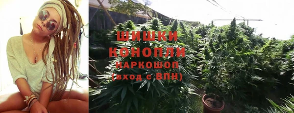 прущая мука Верея
