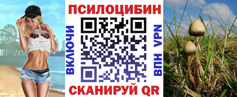 Псилоцибиновые грибы Psilocybe  Мирный 